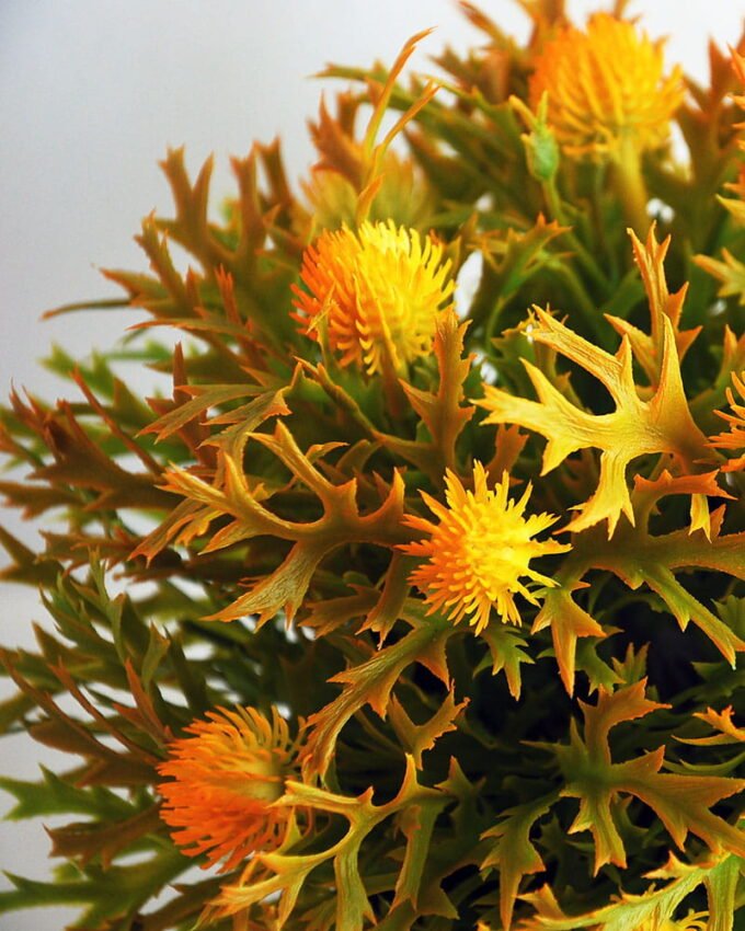 Artificial Flower 19*19*21cm Plastic fruit in plastic pot GS-03319255-O1