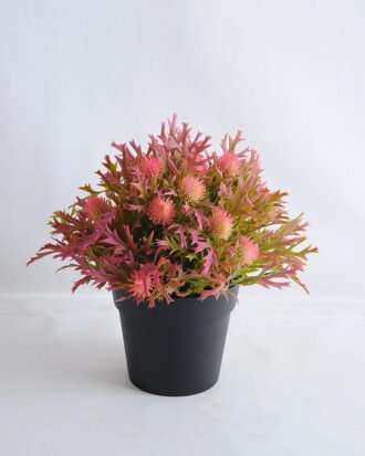 Artificial Flower 19*19*21cm Plastic fruit in plastic pot GS-03319255-R1