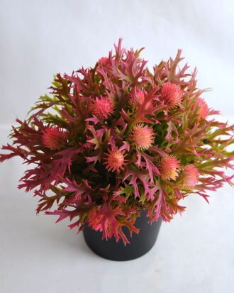 Artificial Flower 19*19*21cm Plastic fruit in plastic pot GS-03319255-R1