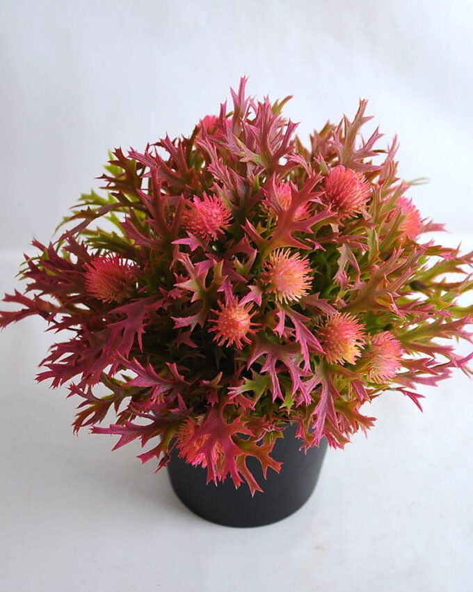 Artificial Flower 19*19*21cm Plastic fruit in plastic pot GS-03319255-R1