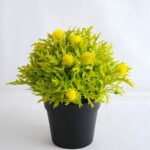 Artificial Flower 19*19*21cm Plastic fruit in plastic pot GS-03319255-Y1