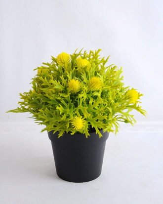 Artificial Flower 19*19*21cm Plastic fruit in plastic pot GS-03319255-Y1 Potted Flowers&Plants YeahFlower is one of Chinese leading OEM manufacturers and exporters , supplying the silk flowers, wholesale artificial trees Artificial Flower 19*19*21cm Plastic fruit in plastic pot GS-03319255-Y1