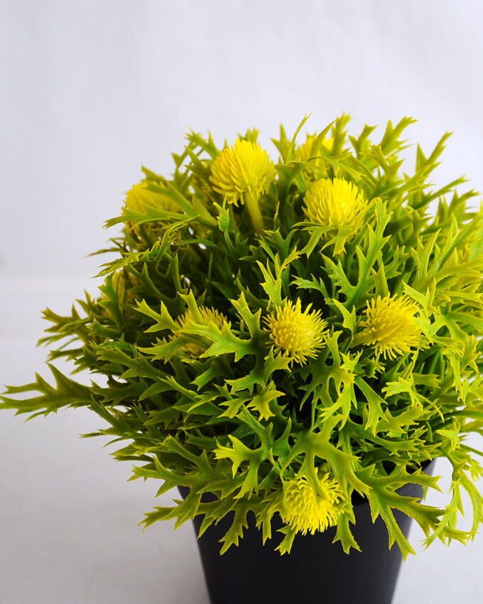 Artificial Flower 19*19*21cm Plastic fruit in plastic pot GS-03319255-Y1 2 Artificial Flower 19*19*21cm Plastic fruit in plastic pot GS-03319255-Y1