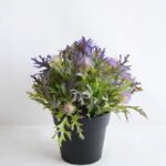 Artificial Flower 19*19*21cm Plastic fruit in plastic pot GS-03319255-Z1