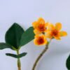 Artificial Flower 17 Artificial Flower 17.5*67CM SINGLE CHINESE YUM GS-26219042-Y3