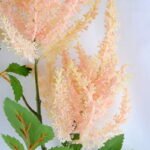 Artificial Flower 24*101CM SINGLE EUROPA GS-15419032BRUCO-P1