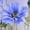 Artificial Flower 30*58CM SINGLE FLOWERS BUSH GS-26219028-B1