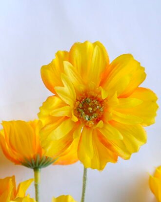 Artificial Flower 30*58CM SINGLE FLOWERS BUSH GS-26219028-Y1 Flowers Bush YeahFlower is one of Chinese leading OEM manufacturers and exporters , supplying the silk flowers, wholesale artificial trees Artificial Flower 30*58CM SINGLE FLOWERS BUSH GS-26219028-Y1