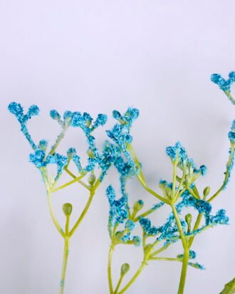 Artificial Flower 25*73CM SINLGE TELOSMA GS-26219022-B1