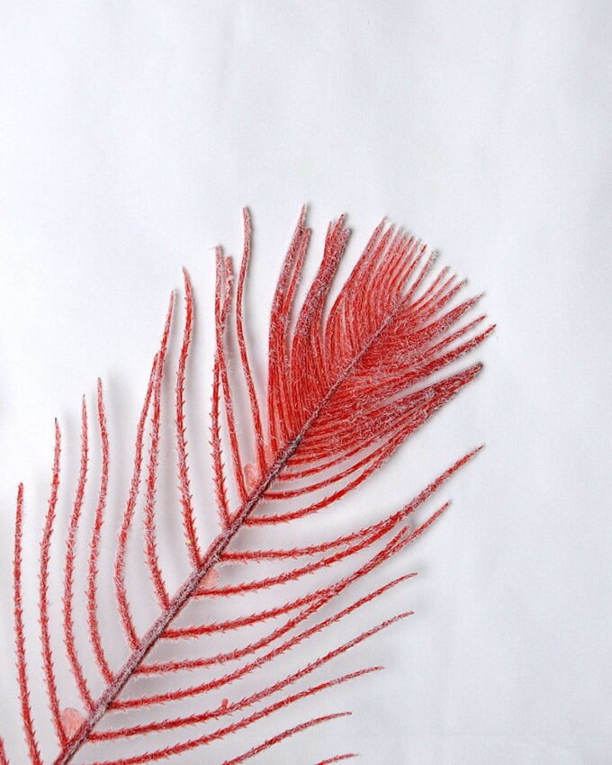 Artificial Flower 29*79CM Singel Grass Spray*3 GS-26219069-R2