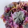 Artificial Flower 22*65CM Single Hydrange GS-55119006BRUCO-Z2 2 Artificial Flower 22*65CM Single Hydrange GS-55119006BRUCO-Z2