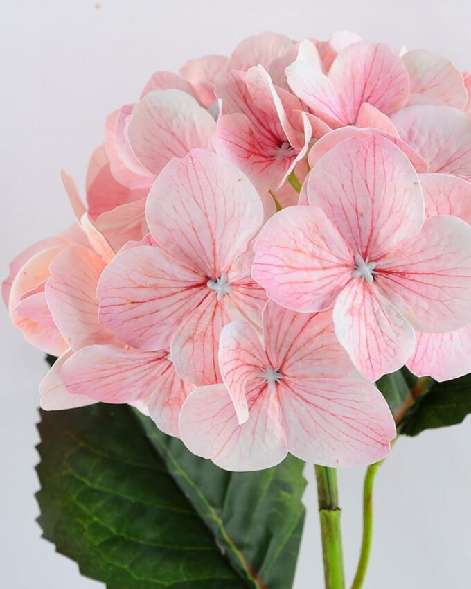 Artificial Flower 23*46CM Single Hydrangea GS-53819008-P1 2 Artificial Flower 23*46CM Single Hydrangea GS-53819008-P1