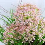 Artificial Flower 26*22*27CM Succulent in basket GS-30319006+P