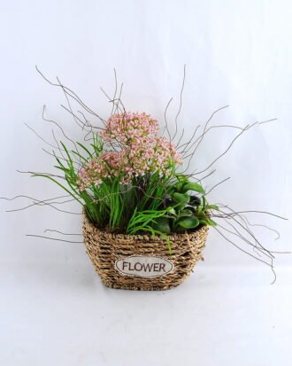 Artificial Flower 26*22*27CM Succulent in basket GS-30319006+P