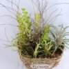 Artificial Flower 29*15*29CM Succulent in basket GS-30319007+P