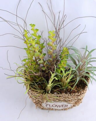 Artificial Flower 29*15*29CM Succulent in basket GS-30319007+P