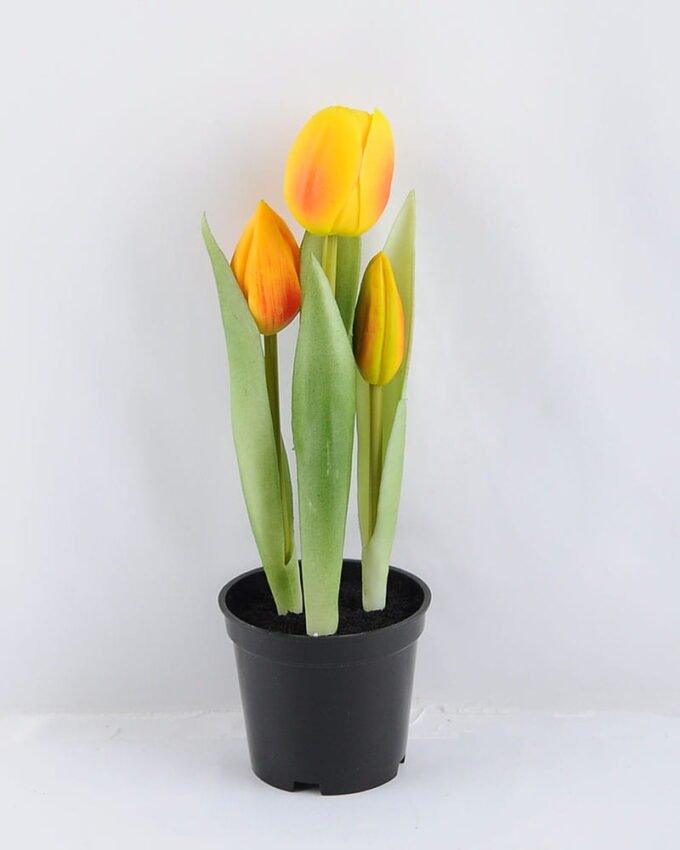 Artificial Flower 7.5*24CM Tulip*3 in plastic pot GS-24519010-O1