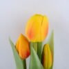 Artificial Flower 7.5*24CM Tulip*3 in plastic pot GS-24519010-O1
