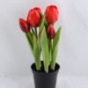 Artificial Flower 9*5*26CM Tulip*5 in plastic pot GS-24519011-R1