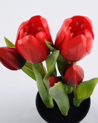 Artificial Flower 9*5*26CM Tulip*5 in plastic pot GS-24519011-R1 Potted Flowers&Plants YeahFlower is one of Chinese leading OEM manufacturers and exporters , supplying the silk flowers, wholesale artificial trees Artificial Flower 9*5*26CM Tulip*5 in plastic pot GS-24519011-R1