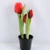 Artificial Flower 6*8*24CM Tulip*3 in plastic pot GS-24519015-R1