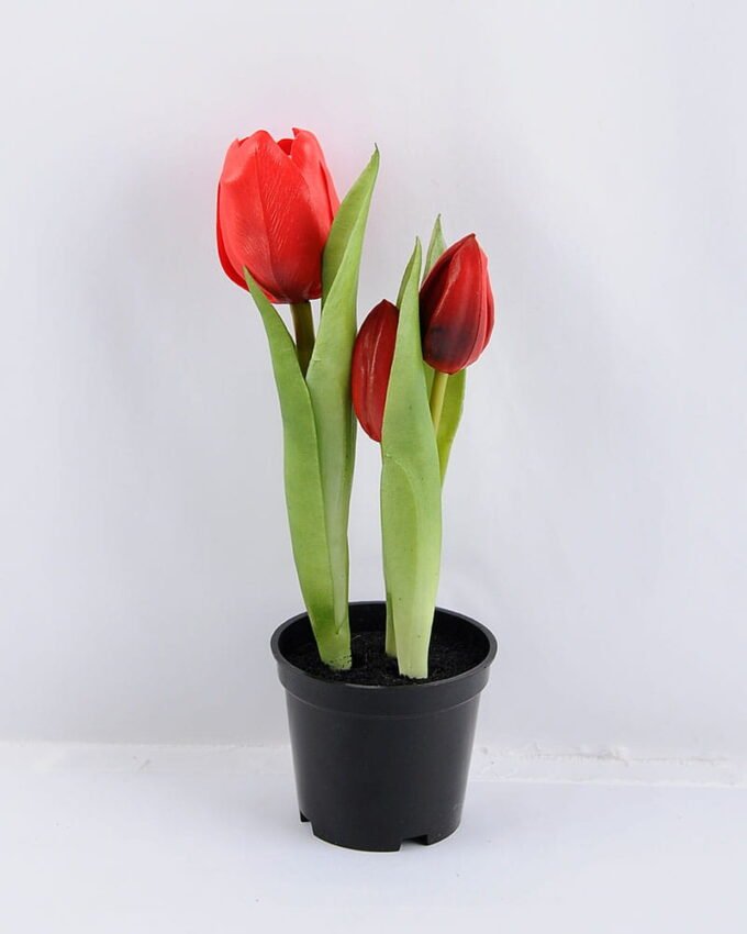 Artificial Flower 6*8*24CM Tulip*3 in plastic pot GS-24519015-R1
