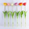 Artificial Flower 16*39CM Tulip*5 GS-41519003-P1