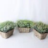 Artificial Flower 24*20*16CM Wild Flowers In Basket GS-06919053-R1