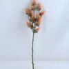 Artificial Flower 18*53CM Wild fruit GS-36619026CONTI 2 Artificial Flower 18*53CM Wild fruit GS-36619026CONTI