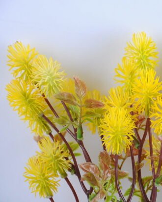 Artificial Flower 29*45CM grass spray bush*5 GS-36619009-Y1 Flowers Bush YeahFlower is one of Chinese leading OEM manufacturers and exporters , supplying the silk flowers, wholesale artificial trees Artificial Flower 29*45CM grass spray bush*5 GS-36619009-Y1