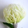 Artificial Flower succulent plant ABH-019-W1 2 Artificial Flower succulent plant ABH-019-W1