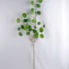 Artificial Plant 31*111CM  Eucalyptus GS-15419001BRUCO-G1