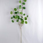 Artificial Plant 31*111CM  Eucalyptus GS-15419001BRUCO-G1