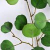 Artificial Plant 31*111CM  Eucalyptus GS-15419001BRUCO-G1