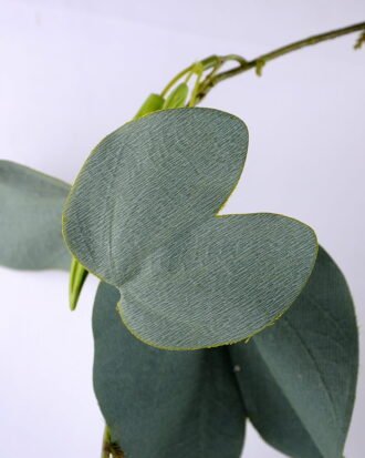 Artificial Plant 30*136CM Eucalyptus Leaf GS-37519007