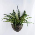 Artificial Plant 65*67*42cm Fern In Basket GS-52719049