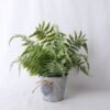 Artificial Plant 34*29*29CM Fern In Tin Pot GS-06919051