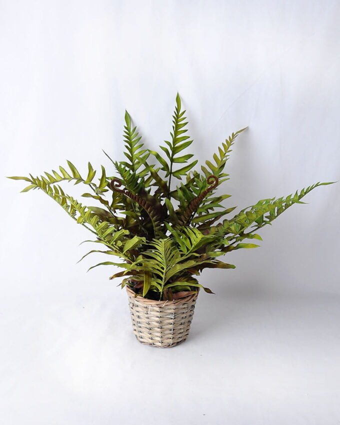 Artificial Plant 42*42*35CM Fern In Tin Pot GS-06919054