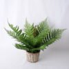 Artificial Plant 43*35*40CM Fern In Tin Pot GS-06919055-G1