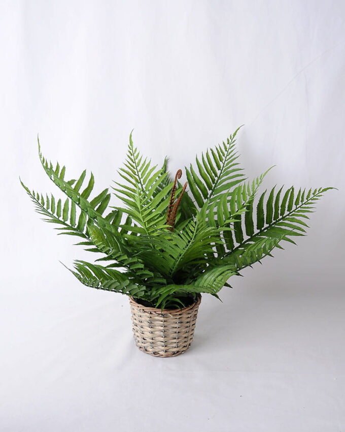 Artificial Plant 43*35*40CM Fern In Tin Pot GS-06919055-G1