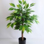 Artificial Plant 53*50*72CM Ficus in the plastic pot GS-30419029