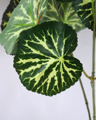 Artificial Plant Figure Begonia Leaves Bush*7/LVS50 GS-29819014 Flowers Bush YeahFlower is one of Chinese leading OEM manufacturers and exporters , supplying the silk flowers, wholesale artificial trees Artificial Plant Figure Begonia Leaves Bush*7/LVS50 GS-29819014