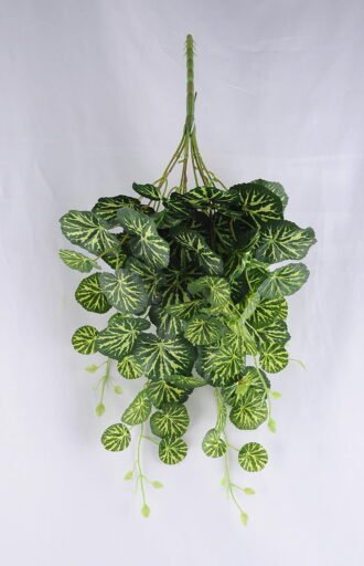 Artificial Plant Figure Begonia Leaves Hanging*8/LVS80 GS-29819015CONTI Flowers Bush YeahFlower is one of Chinese leading OEM manufacturers and exporters , supplying the silk flowers, wholesale artificial trees Artificial Plant Figure Begonia Leaves Hanging*8/LVS80 GS-29819015CONTI