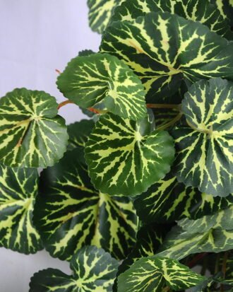 Artificial Plant Figure Begonia Leaves Hanging*11 GS-29819016 Flowers Bush YeahFlower is one of Chinese leading OEM manufacturers and exporters , supplying the silk flowers, wholesale artificial trees Artificial Plant Figure Begonia Leaves Hanging*11 GS-29819016