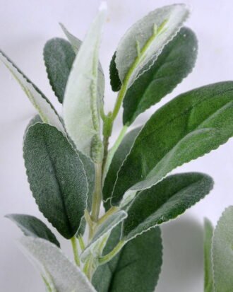 Artificial Plant 20*72CM GRASS SINGLE GS-15419029BRUCO-G1 Leaves&Sprays&Foliages YeahFlower is one of Chinese leading OEM manufacturers and exporters , supplying the silk flowers, wholesale artificial trees Artificial Plant 20*72CM GRASS SINGLE GS-15419029BRUCO-G1