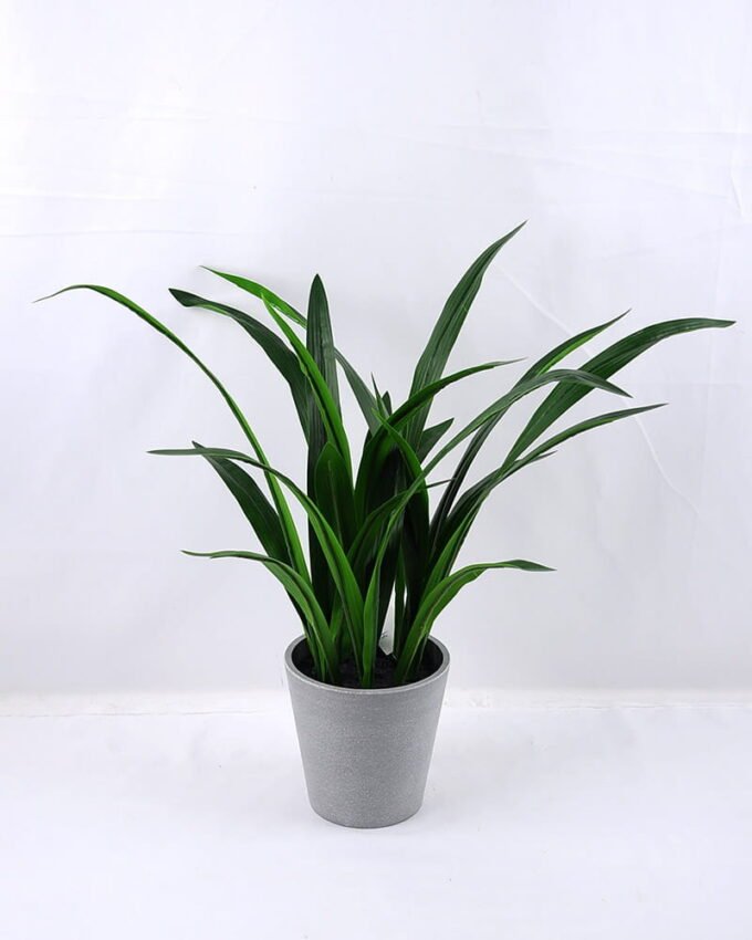 Artificial Plant 33*27*45CM Gladiolus leaves in plastic pot GS-52719033