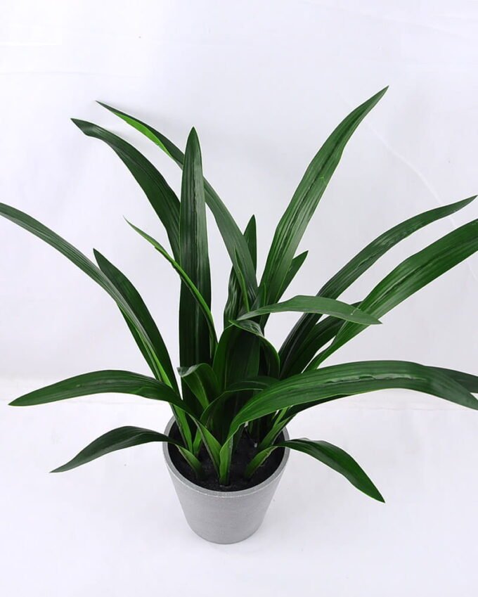 Artificial Plant 33*27*45CM Gladiolus leaves in plastic pot GS-52719033