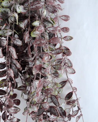 Artificial Plant 37*93cm Grass Hanging GS-54419022-R1