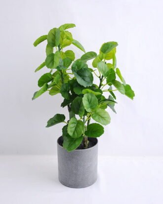 Artificial Plant 22*23*47CM Green polyscias in plastic pot GS-52719031 Potted Flowers&Plants YeahFlower is one of Chinese leading OEM manufacturers and exporters , supplying the silk flowers, wholesale artificial trees Artificial Plant 22*23*47CM Green polyscias in plastic pot GS-52719031