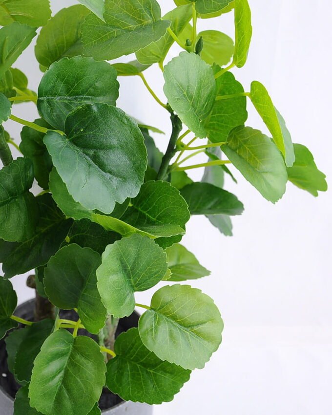 Artificial Plant 22*23*47CM Green polyscias in plastic pot GS-52719031